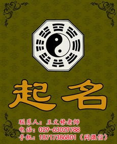 令部首有哪些字