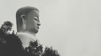 岁月磨砺，识人之道，探析日久见人心的深邃哲理与人生智慧