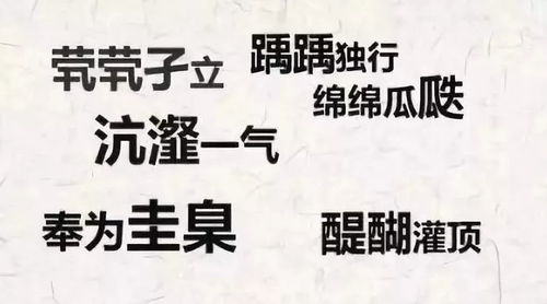 文采的拼音怎么写