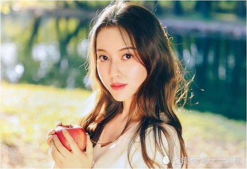 驾轻就熟的解释