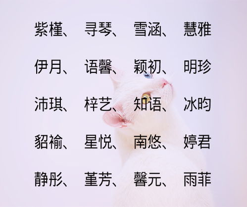 好听的象征爱情的名字