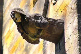 国学瑰宝,姓名寄寓千秋——以古韵起名,为您打造专属签名艺术 国学瑰宝,姓名寄寓千秋——以古韵起名,为您打造专属签名艺术