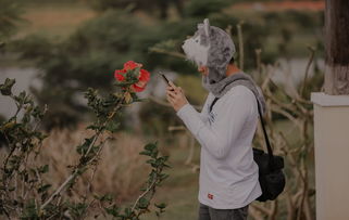 杨妞花索赔920万，震慑人贩子的力量