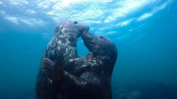 广西紧急行动,寻找超5000名同行乘客的紧迫性与重要性 广西紧急行动,寻找超5000名同行乘客的紧迫性与重要性