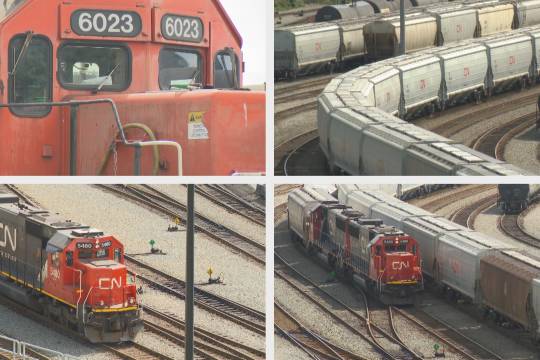 面对北京顺丰兼职员工确诊新冠,如何保持冷静并采取有效防护措施 面对北京顺丰兼职员工确诊新冠,如何保持冷静并采取有效防护措施