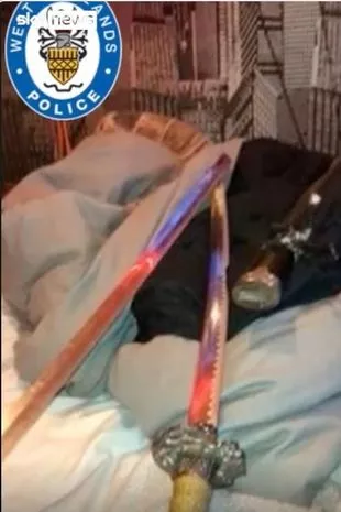 探索中国姓名的奥秘，全国姓名查询的实用指南