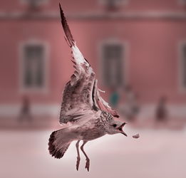 牛气冲天,金榜题名——经典牛宝宝起名大揭秘 牛气冲天,金榜题名——经典牛宝宝起名大揭秘