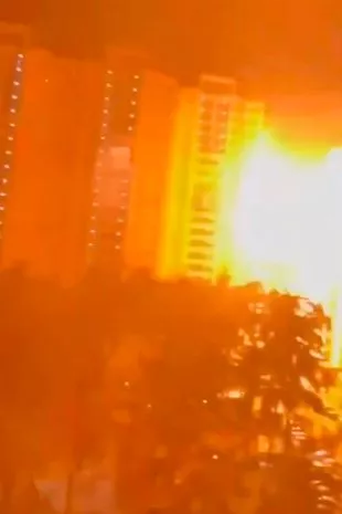 蜂影依依,戴老师与小蜜蜂的别离,国学教育的传承续章 蜂影依依,戴老师与小蜜蜂的别离,国学教育的传承续章