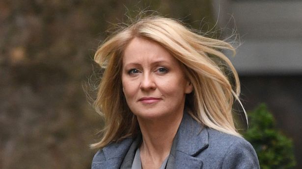 保守党议员埃斯特·麦克维(Esther McVey)抨击将禁烟令比作大屠杀的“令人反感”推文——“控制一下”