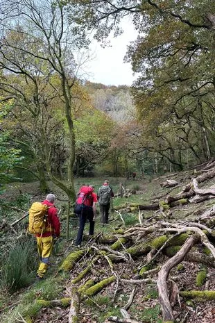 探索A开头的英文名男,文化魅力与个人身份的桥梁 探索A开头的英文名男,文化魅力与个人身份的桥梁
