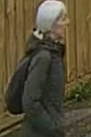 浩浩荡荡,探索汉语成语的深邃意蕴与现代应用 浩浩荡荡,探索汉语成语的深邃意蕴与现代应用