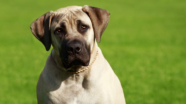 探索姓名配对的奥秘,三藏法的实用指南 探索姓名配对的奥秘,三藏法的实用指南