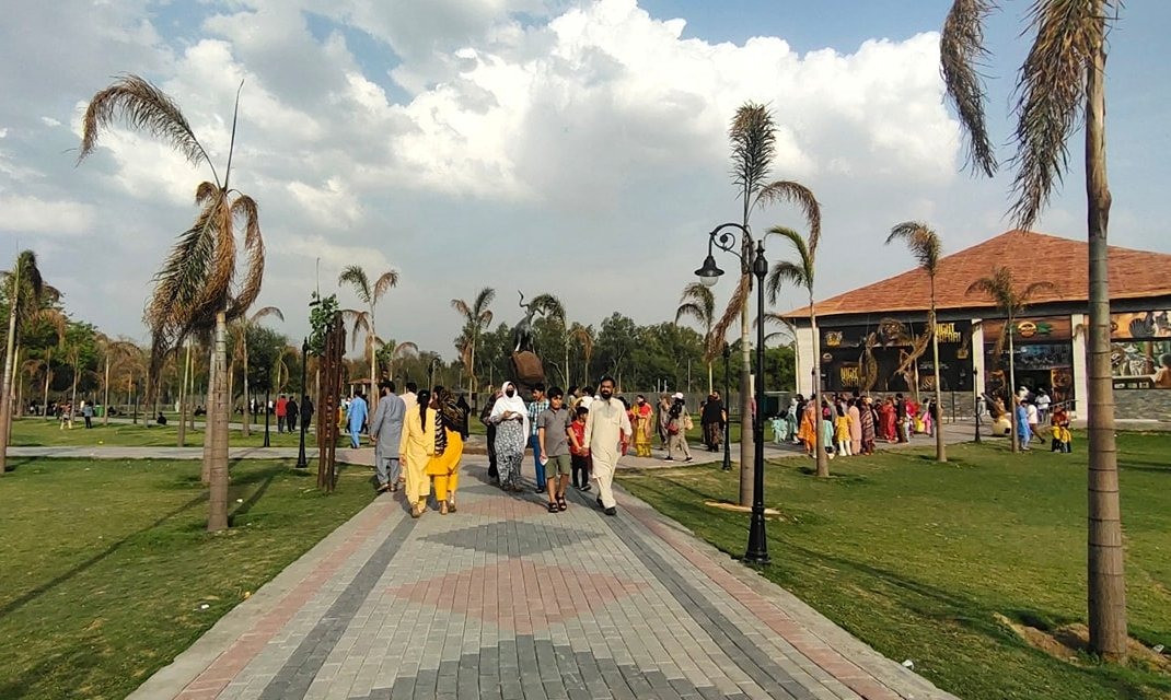 生肖猪年,雅韵赐名,岁月丰盈的智慧之猪 生肖猪年,雅韵赐名,岁月丰盈的智慧之猪