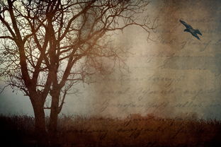 墨染流年,弥留之际的际字之深邃解析与起名艺术 墨染流年,弥留之际的际字之深邃解析与起名艺术