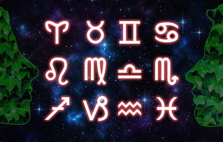 星海之缘，深究星座命理，巧析情感配对指数