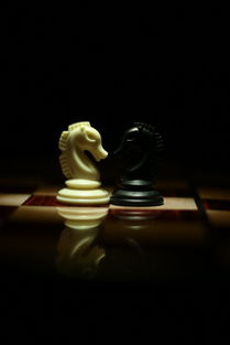 古韵悠扬，独运匠心——探寻那些承载智慧与艺术的游戏名