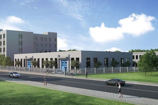 深度解析,紫薇排盘,解读个人命运的神秘密码 深度解析,紫薇排盘,解读个人命运的神秘密码