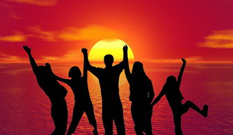 探索汉语拼音的奥秘，如何正确掌握从的拼音