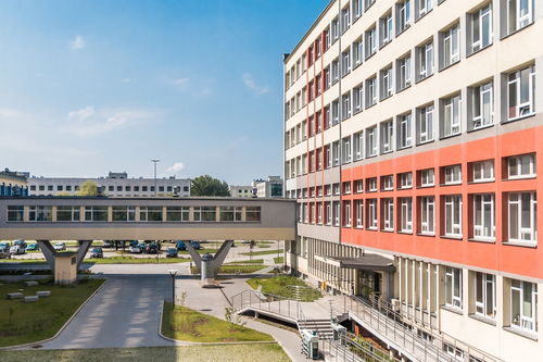 2016年中国大学排行榜，探索教育的熠熠明珠