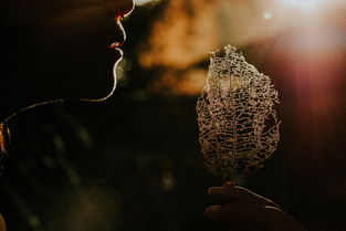 70后的歌声,岁月的旋律,时代的记忆——追忆那个时代的音乐烙印 70后的歌声,岁月的旋律,时代的记忆——追忆那个时代的音乐烙印