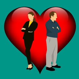 揭秘属鸡人的婚姻密码，命运、爱情与携手共进