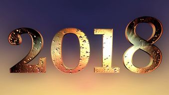 探索杨字的完美搭档，最佳配字的艺术