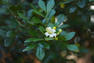 31省疫情最新动态,防控措施与生活影响全解析 31省疫情最新动态,防控措施与生活影响全解析