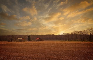 探索意境之美,景物融合的艺术与生活 探索意境之美,景物融合的艺术与生活