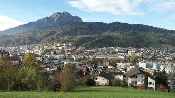 深入解析,31省区市新增确诊21例,本土病例9例背后的疫情动态 深入解析,31省区市新增确诊21例,本土病例9例背后的疫情动态