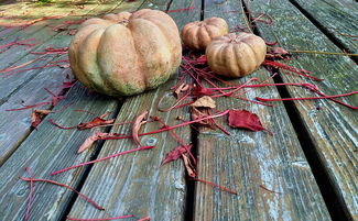 福建疫情新动态,新增本土确诊病例2例,防控措施再升级 福建疫情新动态,新增本土确诊病例2例,防控措施再升级