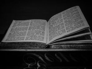 探索吴姓之美,吴姓名字大全及其文化意义 探索吴姓之美,吴姓名字大全及其文化意义