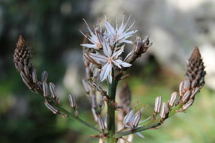 乌鲁木齐高风险区增加,防控新动态与居民应对指南 乌鲁木齐高风险区增加,防控新动态与居民应对指南