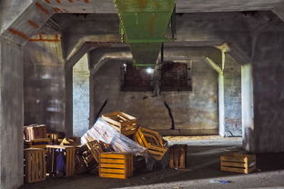 全国疫情最新报道,动态追踪与防控策略 全国疫情最新报道,动态追踪与防控策略