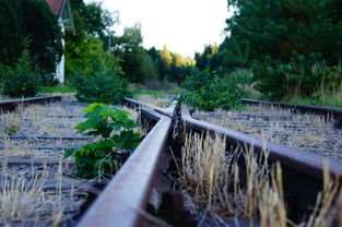 长沙疫情新动态,新增3例确诊病例活动轨迹解析与防控指南 长沙疫情新动态,新增3例确诊病例活动轨迹解析与防控指南