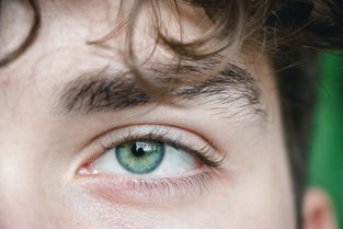 眉毛的奥秘,从拼音到面相学的深度解析 眉毛的奥秘,从拼音到面相学的深度解析