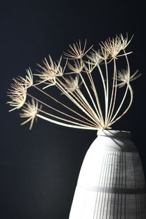 雯组词,探索汉字之美与语言的力量 雯组词,探索汉字之美与语言的力量