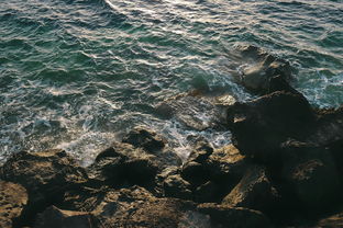 北京疫情新动态,2260例新增感染者背后的挑战与应对策略 北京疫情新动态,2260例新增感染者背后的挑战与应对策略