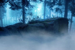 楚辞中的女孩名字,穿越千年的唯美之选 楚辞中的女孩名字,穿越千年的唯美之选