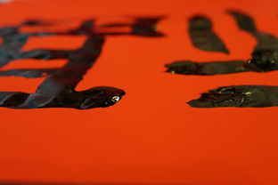 探索韵的奥秘,从语言艺术到文化传承 探索韵的奥秘,从语言艺术到文化传承