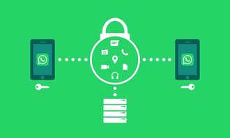 辽宁疫情新动态,新增本土确诊35例的深入解析与应对策略 辽宁疫情新动态,新增本土确诊35例的深入解析与应对策略