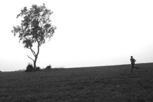 探索诗意生活,超有韵味的唯美诗句 探索诗意生活,超有韵味的唯美诗句