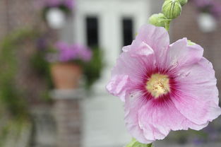 诗韵流转,简短精辟的文案之美 诗韵流转,简短精辟的文案之美