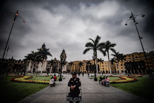 武汉104小区封控,守护健康,共筑安全防线 武汉104小区封控,守护健康,共筑安全防线