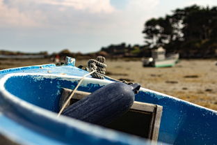 北京疫情新动态,新增22例的应对与防控 北京疫情新动态,新增22例的应对与防控