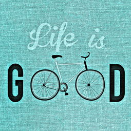 探索放的拼音,语言的桥梁与生活的艺术 探索放的拼音,语言的桥梁与生活的艺术