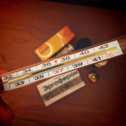 新型冠状病毒感冒,全面了解与防护指南 新型冠状病毒感冒,全面了解与防护指南