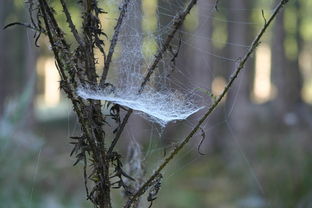 生辰八字取名的艺术,如何为孩子赢得100分的名字 生辰八字取名的艺术,如何为孩子赢得100分的名字