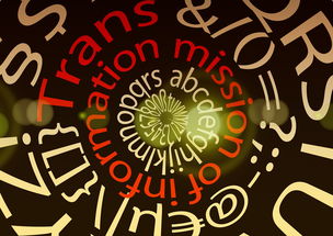 探索汉字之美,贝字旁的字及其文化意义 探索汉字之美,贝字旁的字及其文化意义