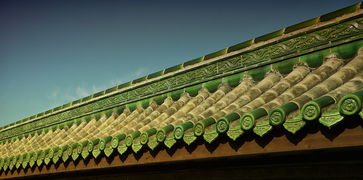 深圳战疫,最新动态与市民生活指南 深圳战疫,最新动态与市民生活指南