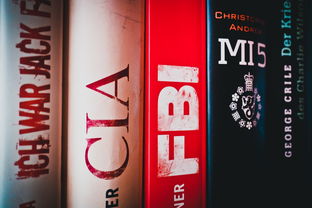 探索姓名的力量,免费姓名得分测试的奥秘 探索姓名的力量,免费姓名得分测试的奥秘